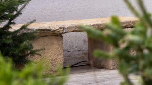 Art. History. Experience. – Cigar Lounge București cu rafinament și spirit interbelic autentic